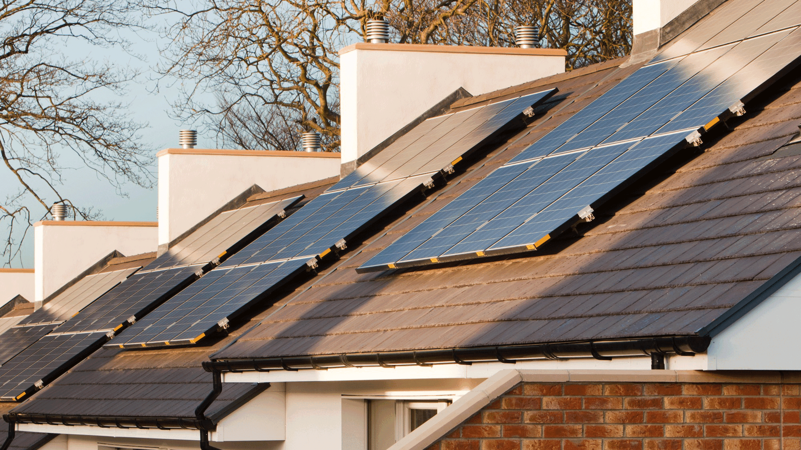 How much do solar panels cost? And are they worth it?